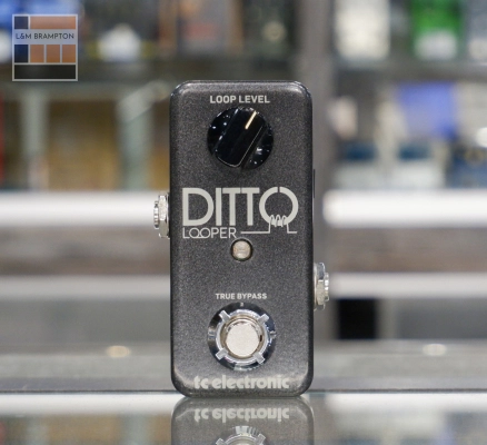 TC Electronic - DITTO LOOPER